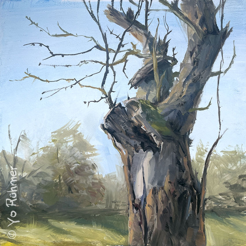 Baum-gemalt-winter-pleinair-oelbild-968