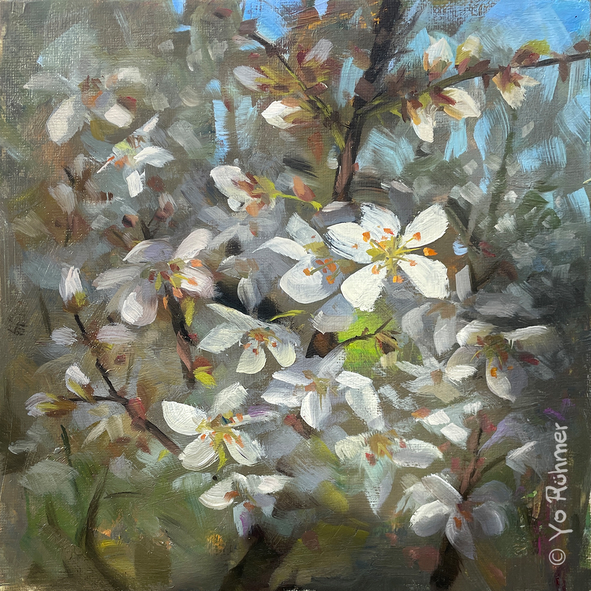 Frühling-kirschblüten-gemalt-Ölbild-pleinairmalerei-1121