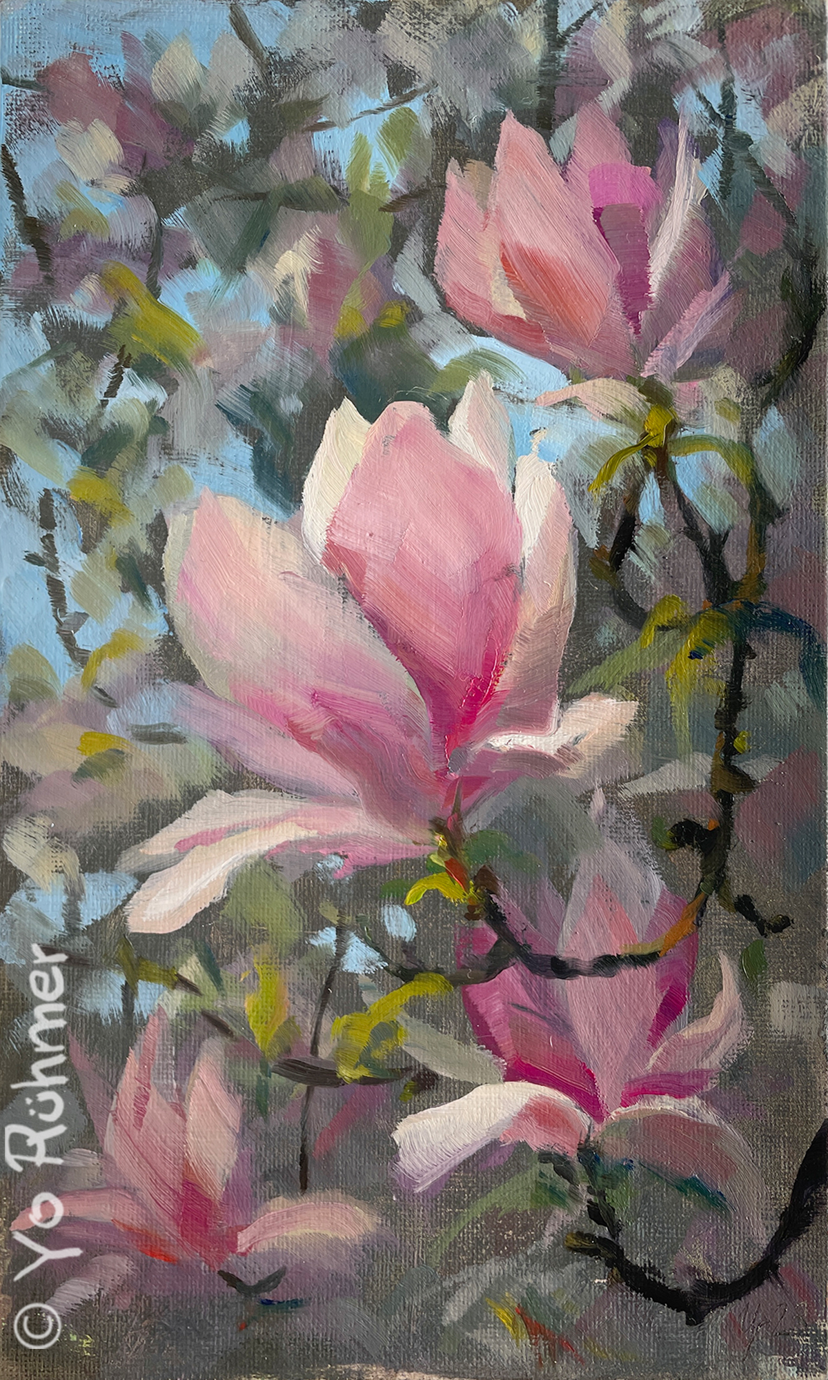 Magnolie-blüten-gemalt-Ölbild-Pleinairmalerei-1123