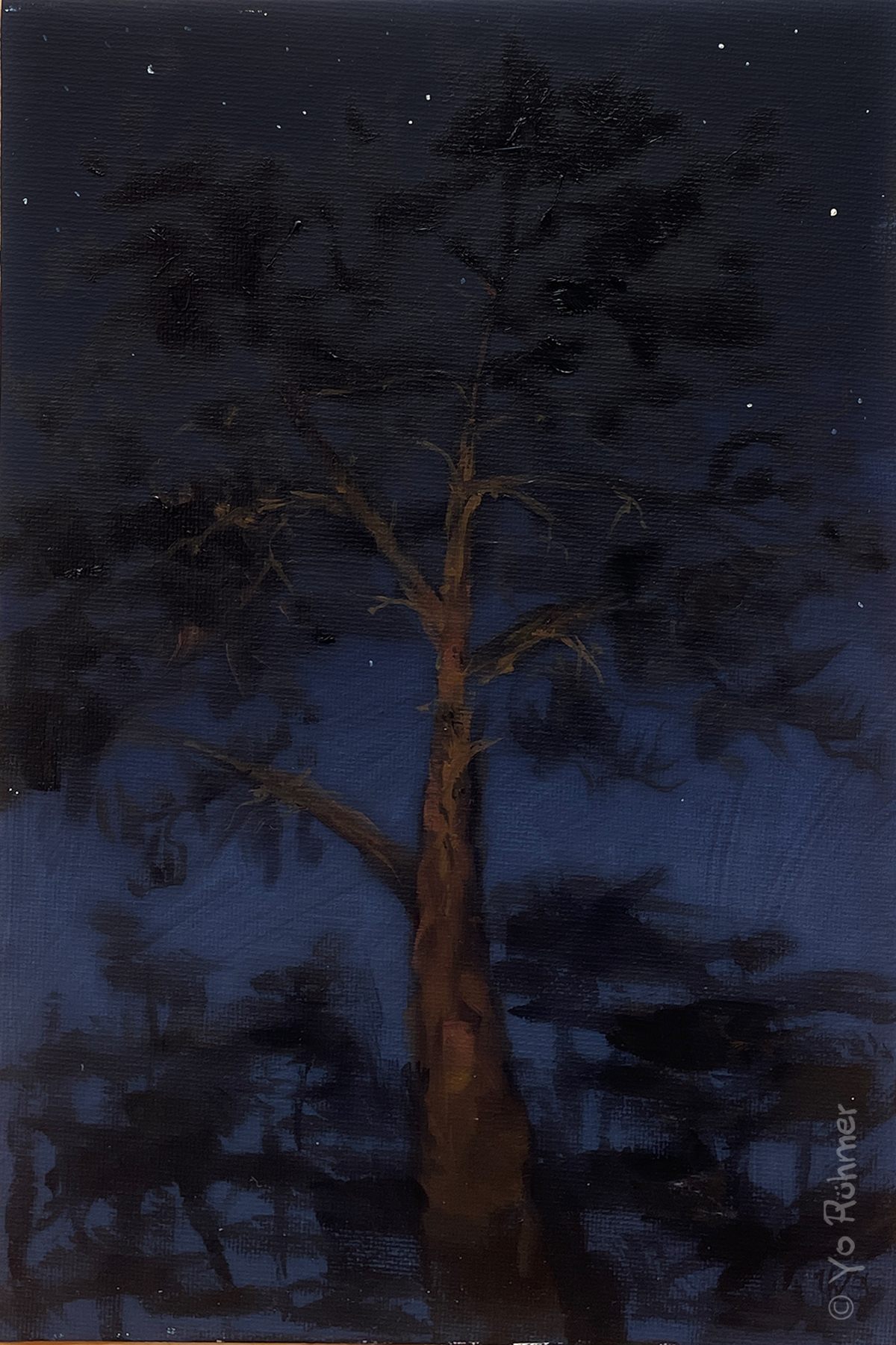 Kiefer Nocturne Ölbild Pleinairmalerei