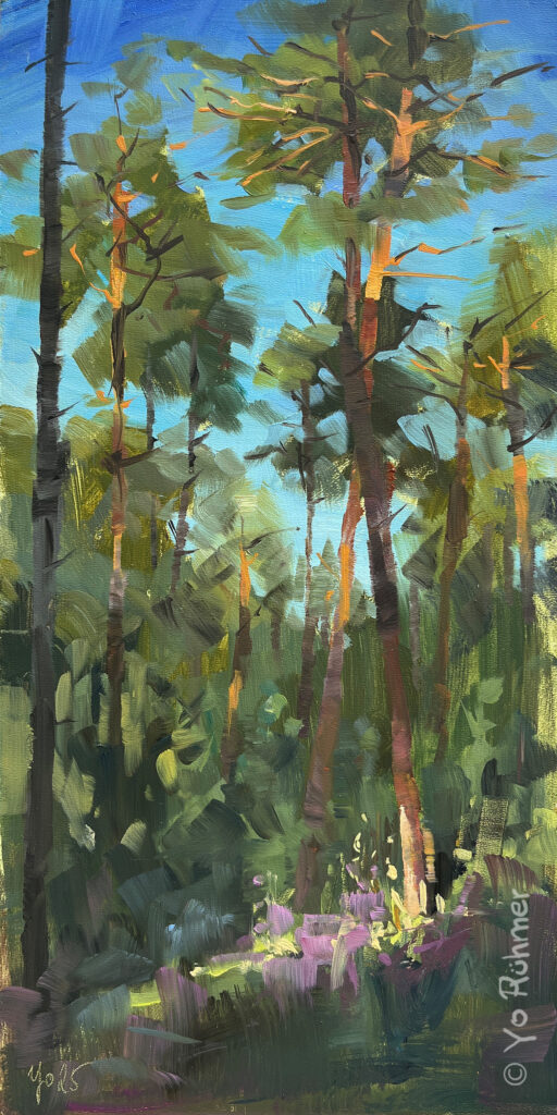 Pinien_Ölbild_pleinairmalerei-1435